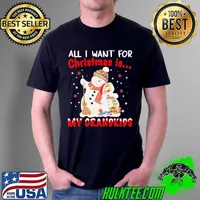 Top All I Want For Christmas Is My Grandkids Snowman Shirt Unisex