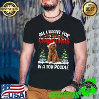 Top Funny Santa Hat All I Want For Christmas Is A Toy Poodle T Shirt