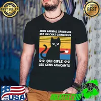 Awesome Cat Mon Animal Spirituel Est Un Chat Grincheux Qui Gifle Les Gens Agacants Vintage Shirt