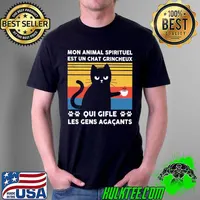 Awesome Cat Mon Animal Spirituel Est Un Chat Grincheux Qui Gifle Les Gens Agacants Vintage Shirt Unisex