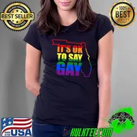 Florida LGBTQ It's OK to Say Gay Protect LGBTQ Kids Premium T-Shirt Ladies Tee
