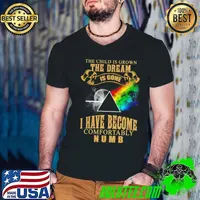 The Child Is Grown The Dream Is Gone I Have Become Comfortably Numb Lgbt T-Shirt