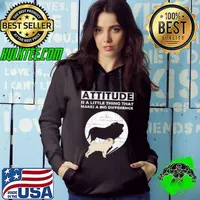 Big Hoodie