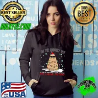 On the naughty list and i regret nothing cat lights snow christmas T-Shirt Hoodie