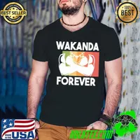 Black Panther Rip Chadwick Boseman Wakanda Forever Vintage Retro Shirt