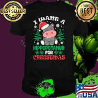 I Want A Hippopotamus For Christmas Santa Hat T-Shirt