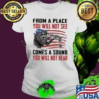 From A Place You Will Not See Comes A Sound You Will Not Usa Flag s Ladies tee