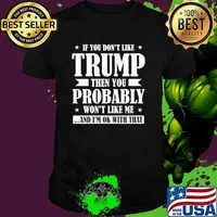 If You Don't Like Trump Then You Probably Like Me Election 2024 T-Shirt
