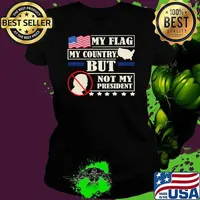 My Flag My Country But Not My President Election 2024 T-Shirt