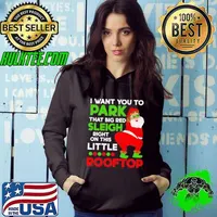 I Want You To Park That Big Red Sleigh Right On This Little Rooftop Christmas Holiday Santa Hoodie