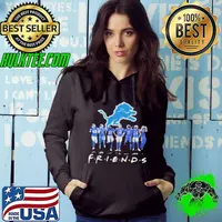 Detroit Lions Football Friends Of Legends Team 2024 Hoodie