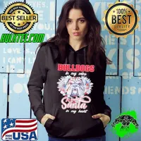 Georgia Bulldogs in my veins Santa in my heart Christmas Hoodie