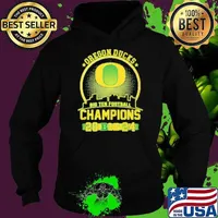 Oregon Ducks Football Big 10 Champions 2024 Go Ducks Skyline Logo Hoodie