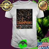 Port Allegany Gators Football 2024 District 9 Class 1A Football Champions Poster Unisex