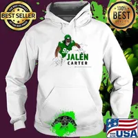 Jalen Carter Big Dawg Pose Philadelphia Eagles vs Washington Commanders NFL Football Painting Hoodie