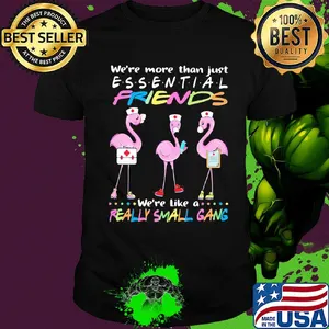 Flamingo nurse we're more than just essential friends we're like a really small gang shirt