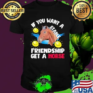 Sun If you want a stable friendship get a horse shirt