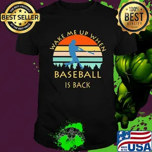 Wake me up when baseball is back vintage shirt