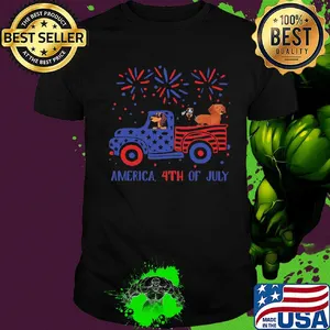 America 4th of July car dog American flag veteran Independence Day shirt