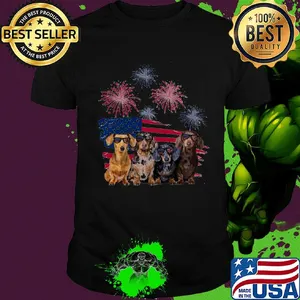 Dachshunds firework american flag independence day shirt
