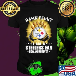 Damn right i am a steelers fan now and forever stars shirt