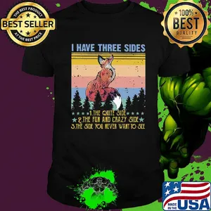 Fox I have three sides the quiet side the fun and crazy side the side you never want to see vintage shirt