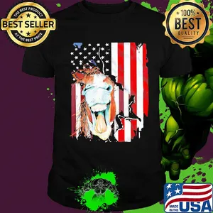 Horse American flag veteran Independence Day shirt