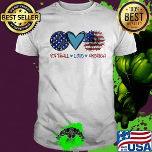 Softball love heart sunflower American flag veteran Independence Day shirt