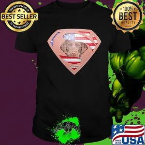 Superman labrador retriever american flag independence day shirt