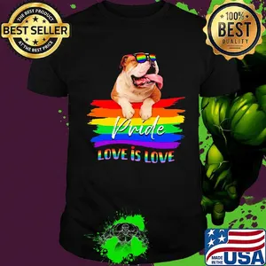 Lgbt pug pride love is love shirt