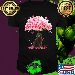 Brown dog standing under the big rose shirt
