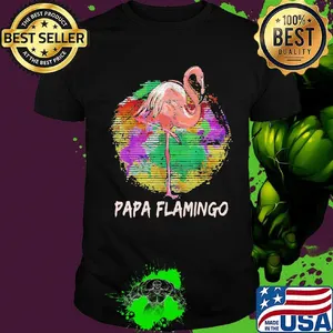 Papa Flamingo Color Circle Shirt