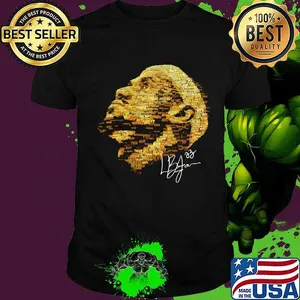 Lebron james signature art shirt