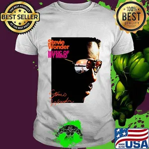 Stevie wonder music of my kind  shirt