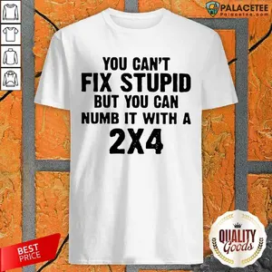 Official You Cant Fix Stupid But You Can Numb It With A 24 Shirt