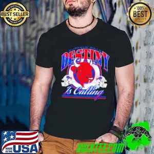 Buffalo Bills destiny is calling vintage Bills football mascot  Shirt