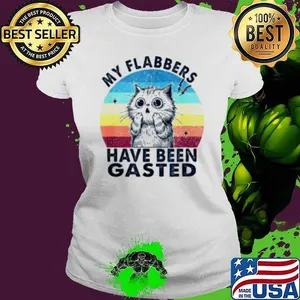 My Flabbers Have Been Gasted Distressed Retro Shirt