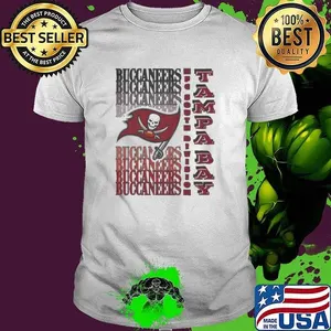 Tampa Bay Buccaneers AFC East Division Logo Shirt