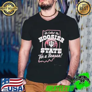 Its Called The Hoosier State For A Reason Shirt