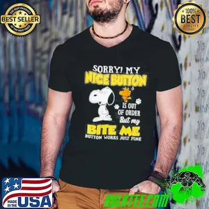 Sorry My Nice Button Is Out Of Order shirt